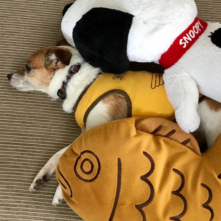 3f69730b 3345 4550 a2ed 325e4ccd1529 1564553111967