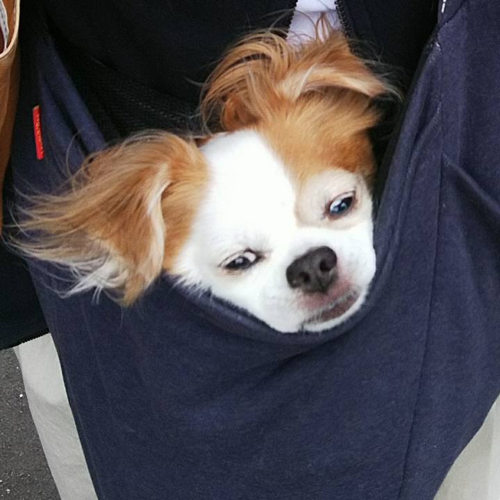 3f69f54d a902 443e b3d4 835537d93241 1537586905614