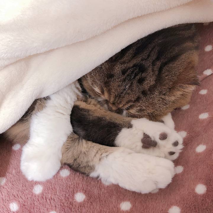 3f69f7db 60d2 4849 a244 8945f01299f9 1554878902166