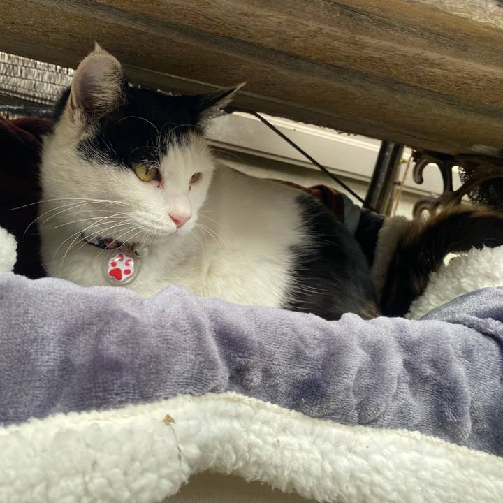 3f6a09b2 0244 418d 810a 797116c890d1 1642425103222