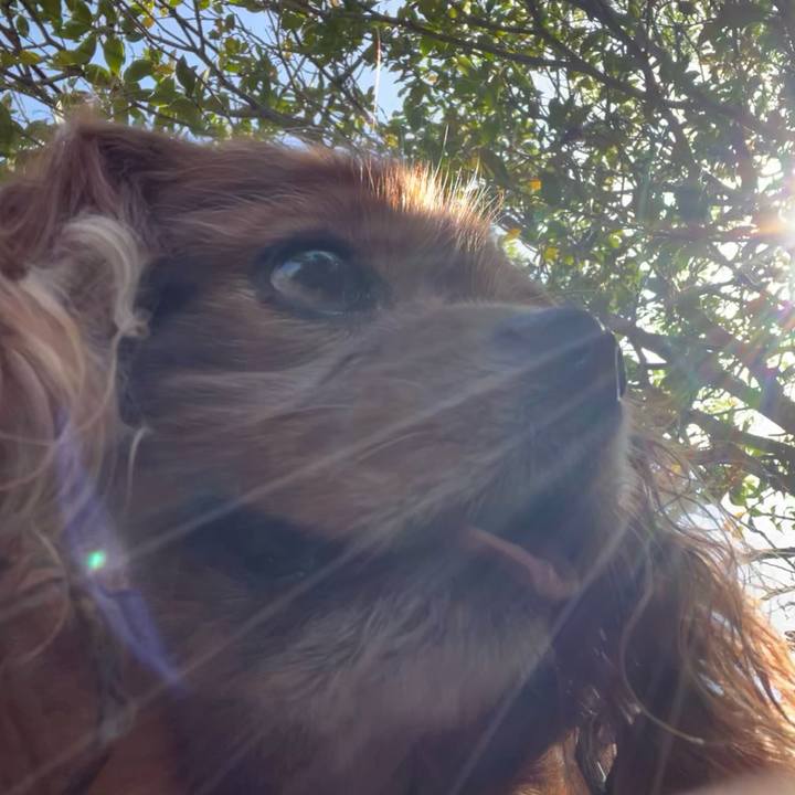 3f6a0dcf 729b 4f46 aca2 dc3a3f8d8e36 1714262876186