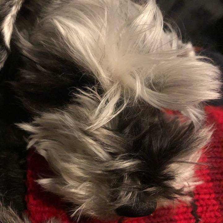 3f6a0ec3 24da 4b80 9676 0c8e781e0b9c 1550060237097