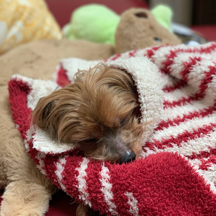 3f6a213f 8510 4d3b 9a7d d9b44c36700a 1580012762023