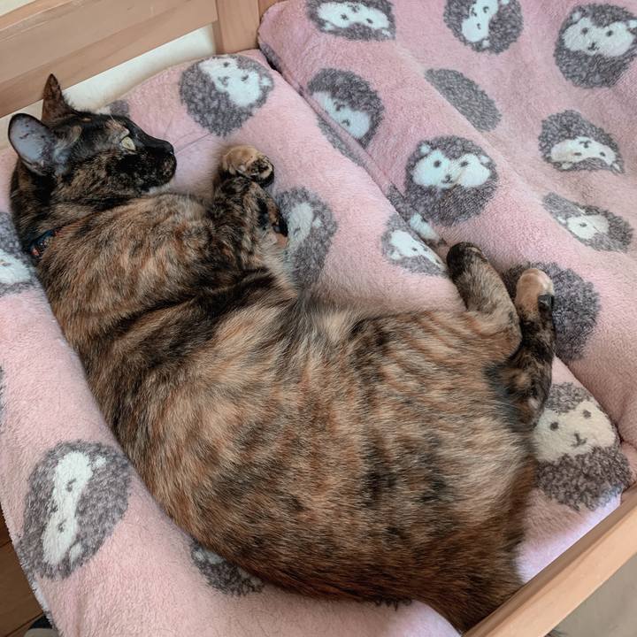 3f6a58ce e4b9 4602 a0ac 0b3b02a76591 1560401382430