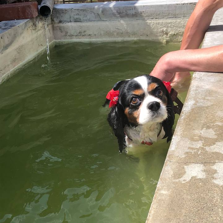 3f6a7e2a 3a49 4676 89ff 87c0d8a8b4d9 1560488544114