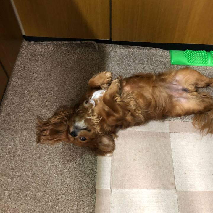 3f6ac4de 6efc 4bed 8115 6fc26eb0b560 1649246302831