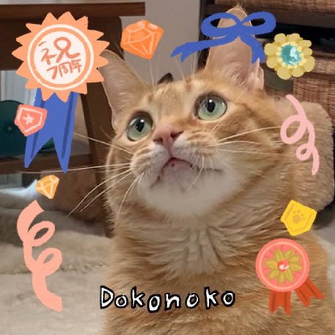 3f6ae3e0 6ab0 4805 9bd8 0127f125ec81 1685954337038