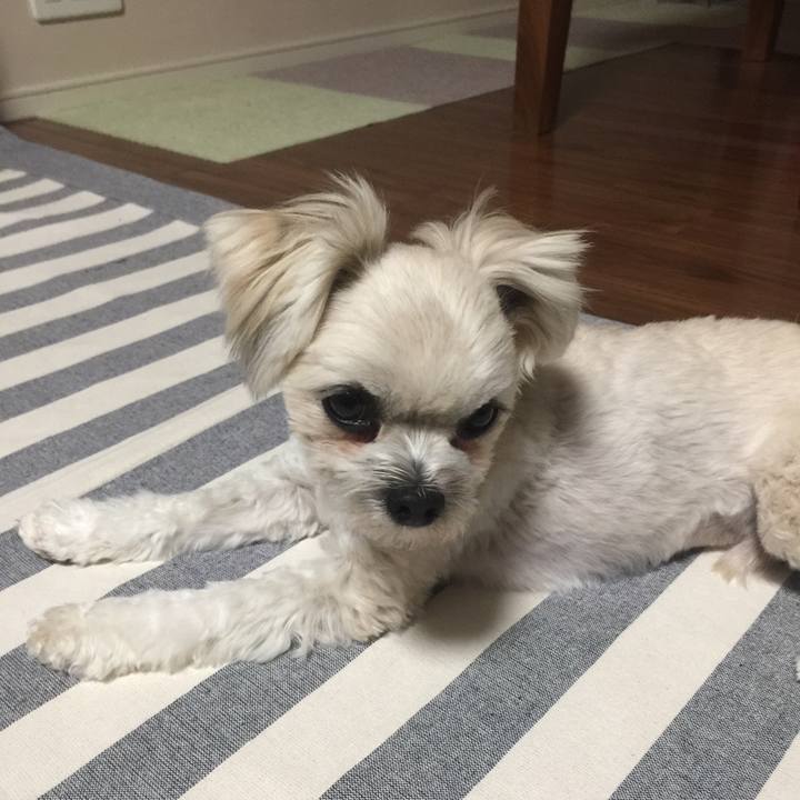 3f6aff67 6c06 4bbb b1f0 9c4935508119 1521029736827