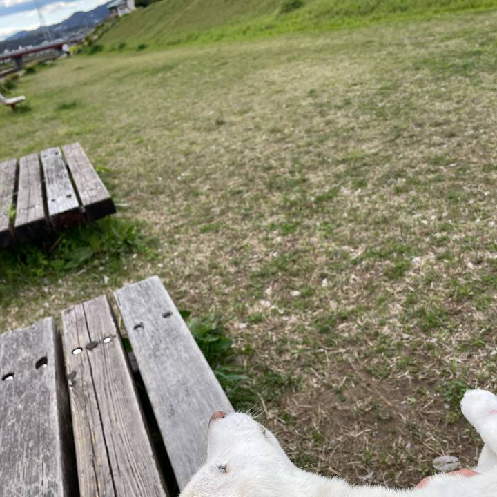 3f6b0199 418f 4489 a184 380794c6c9de 1679120425200