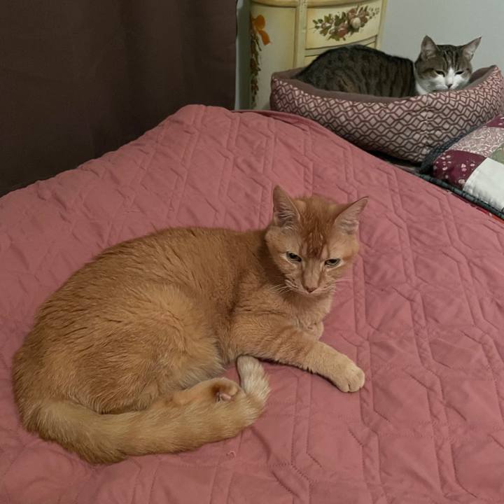 3f6b2198 350e 49c5 a332 e5158a6ebbe6 1703815572598