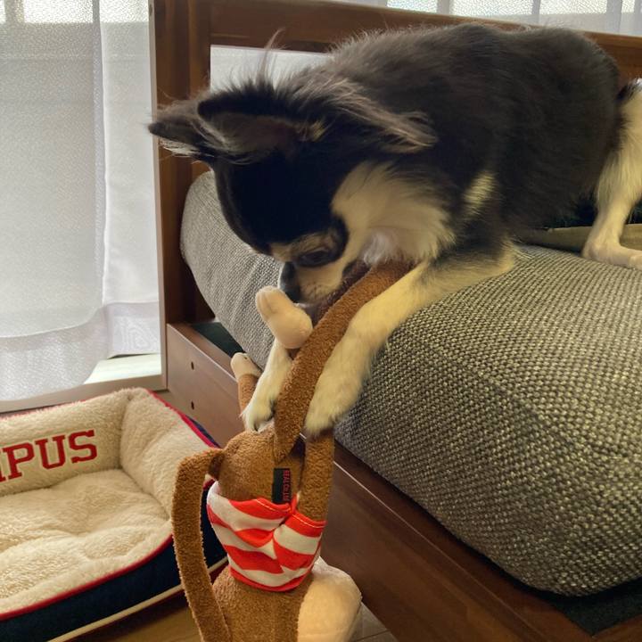 3f6b3c4c 9408 4614 8820 2a4375cf3488 1633839480109