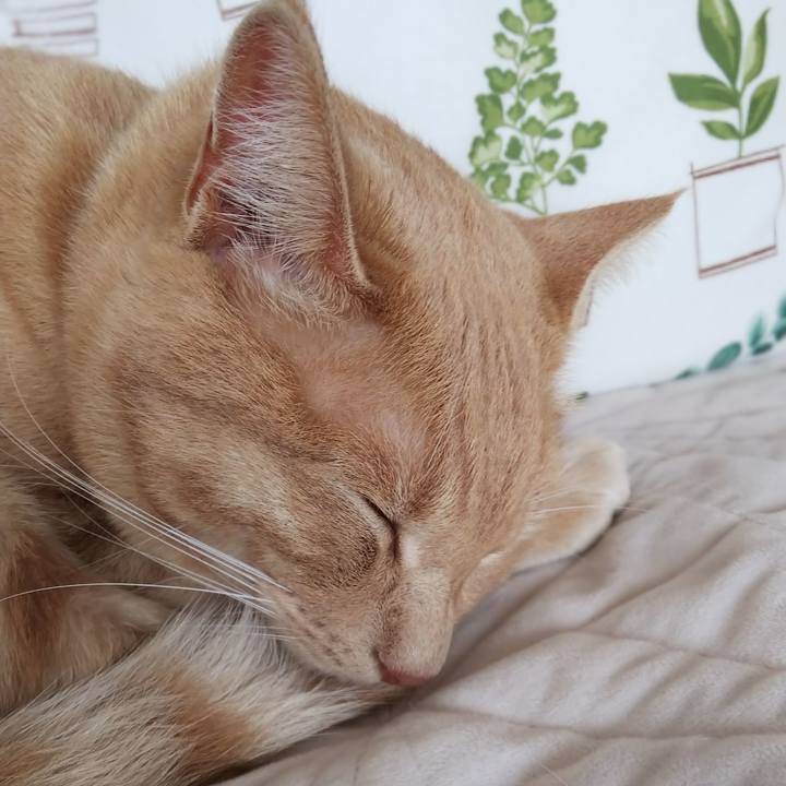 3f6b54fc 5eb0 429f a07e ffe8c8422446 1565410689251