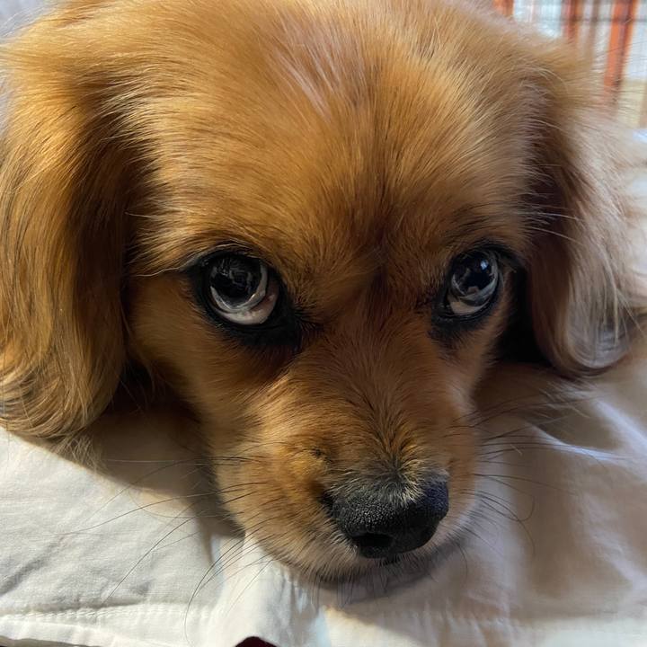 3f6b58db 2517 49ce b2c7 d843ceac29ac 1622754769273