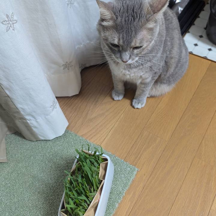 3f6b5ec5 fcb9 4cd8 9009 469acf009786 1729295511625