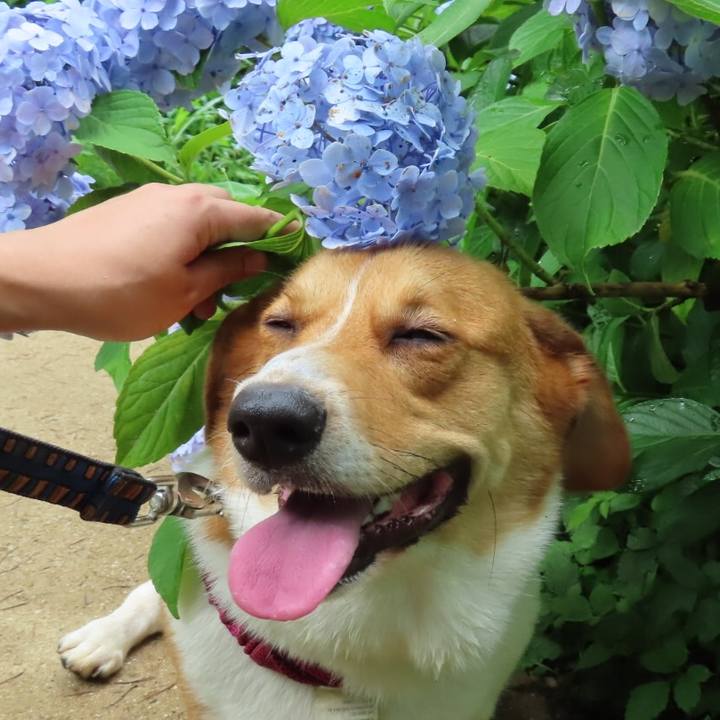 3f6b6e70 cf44 40a2 ba01 c28f3f6d6963 1625700853873