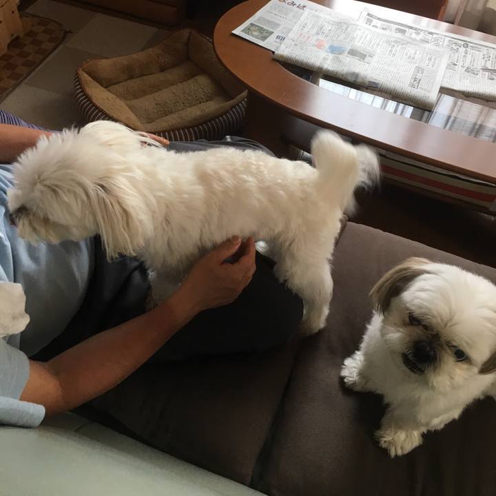 3f6b7f8b e1bc 421f a5e6 7fbc8c2ff37f 1531635634471