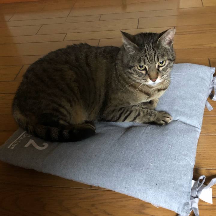 3f6b8a18 92fb 4dd9 9abf 69dcde25e6a1 1592826003329