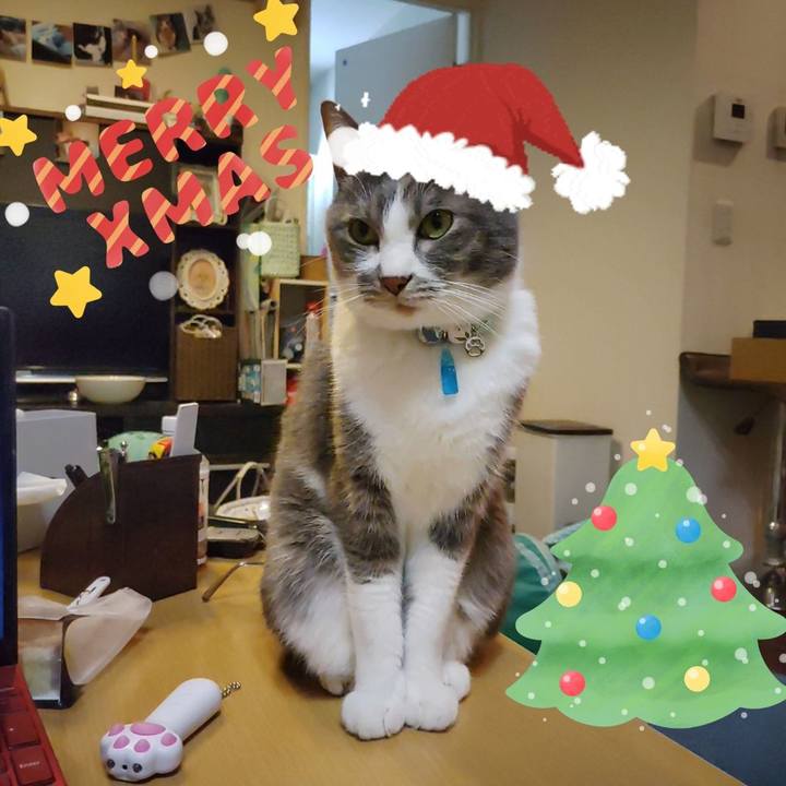 3f6ba560 8305 46cf 9c33 464dc749b7ba 1671872395547