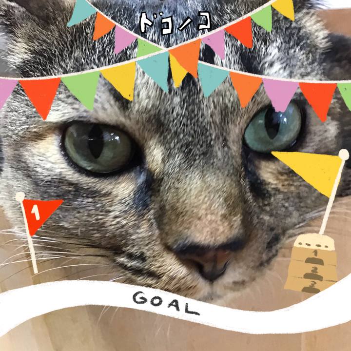 3f6bb5f5 b87d 4c24 82c6 ea2d78a5cba6 1729662027523