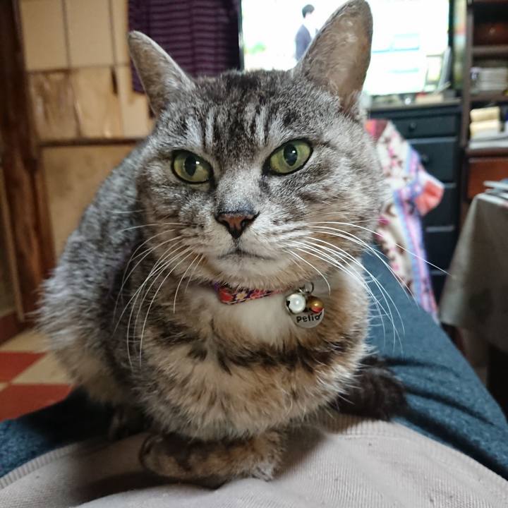 3f6bc35b 4015 45cf a3b0 01594c1981cb 1585222972121