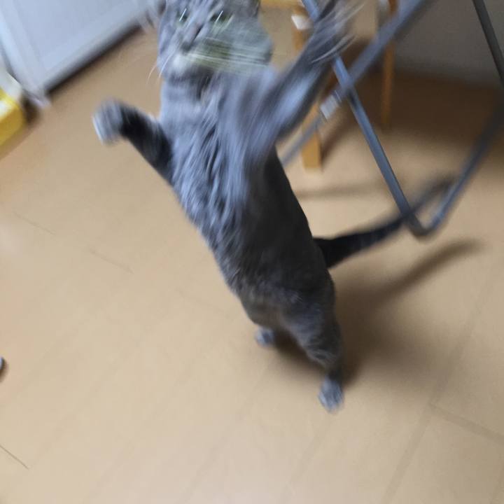 3f6bc9ea 96d6 4165 bd55 96cf4c6aa1a8 1550988040881