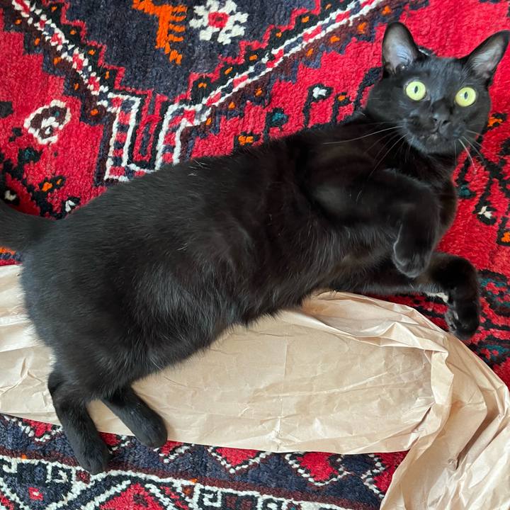 3f6be5bd a474 4455 9bf6 c63df89dbfe9 1693026154636