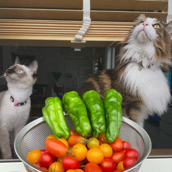 3f6c0885 c010 4898 b588 5ec9fd4b7544 1695026382899