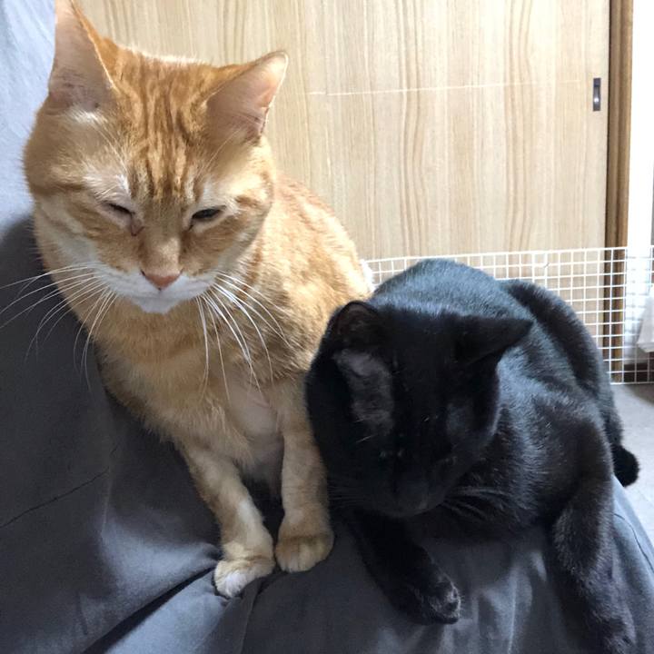 3f6c1b40 e61d 4dd7 9a46 b4ab0ef9a57c 1685451905794