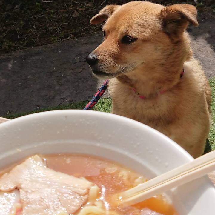 3f6c36e2 813c 45c7 a696 9801cf83fead 1616286605556