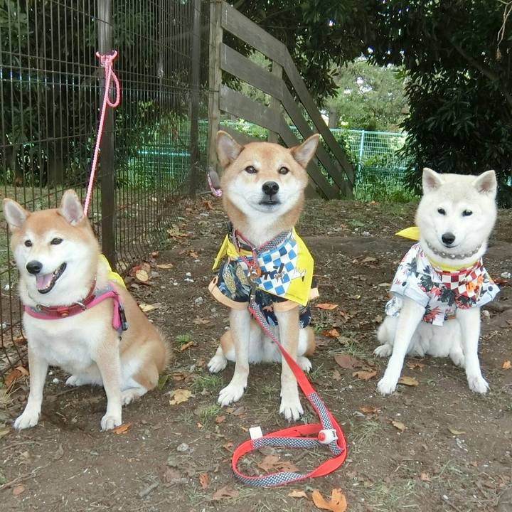 3f6c76e5 1059 4cab b0f9 cccae416b2b9 1569685402539