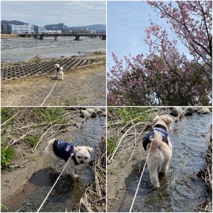 3f6c7873 5255 4c73 9064 208b11000f80 1583564358304