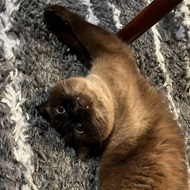 3f6c8769 1248 4aa6 beac 56446663e621 1715775624886