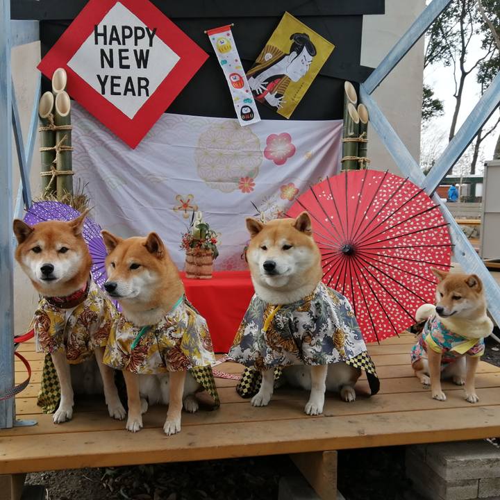 3f6cccc3 3193 467d aef9 ea24b40c9c90 1641797384142