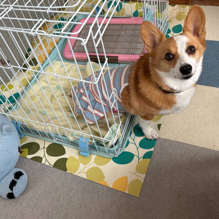 3f6cd458 a952 40cc a9bd 4390c42c417f 1757466183046