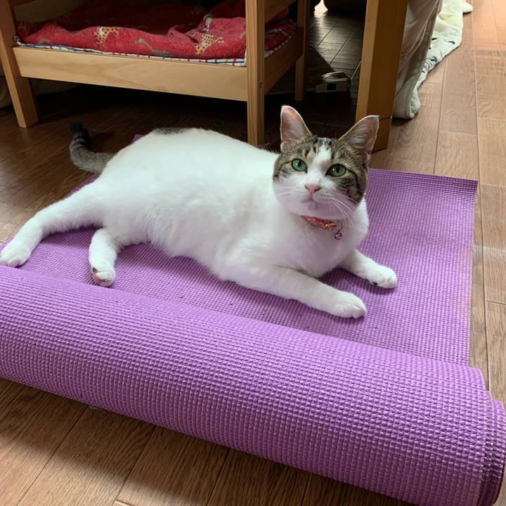 3f6ce1ea 1208 4de2 a4d4 d3d0e3a7b72b 1590891598128