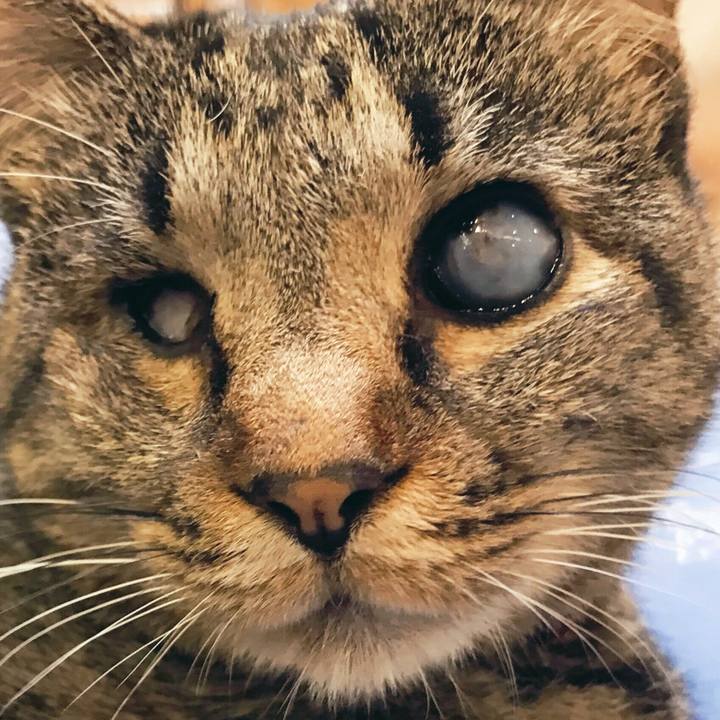 3f6ce1f2 d2e4 402e b87c 636448e01832 1528806158633