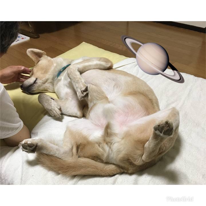 3f6ce77e bcc7 4558 abc8 1d05055e754d 1535381533827