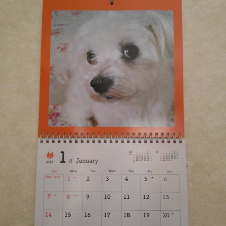 3f6cf408 47e1 43c8 9874 3847eed2ae1b 1515032191716