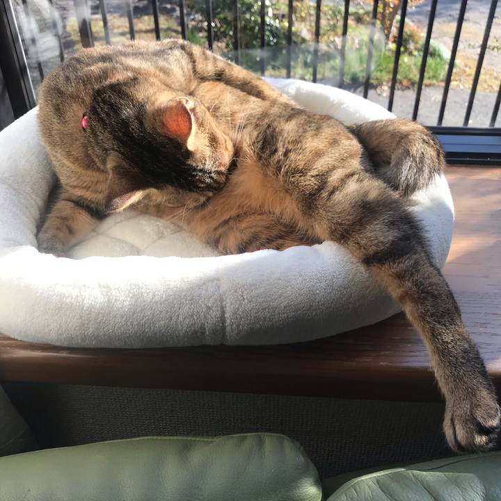 3f6cf8c0 3506 446b 869d f0d407abfe50 1574475898830