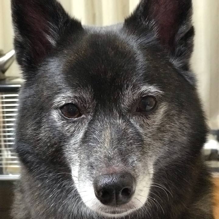 3f6d46ba 645f 4cb6 a009 523fb3316acd 1540688036550