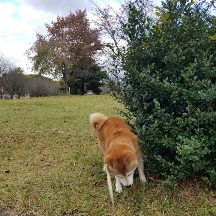 3f6d4d6c 765e 4ba1 97db a73b0fd13540 1667023447423