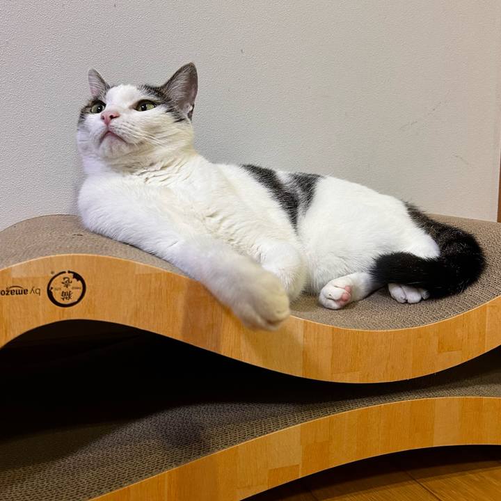 3f6d589d e36d 4550 925f 63ff38f61d5a 1728303503280