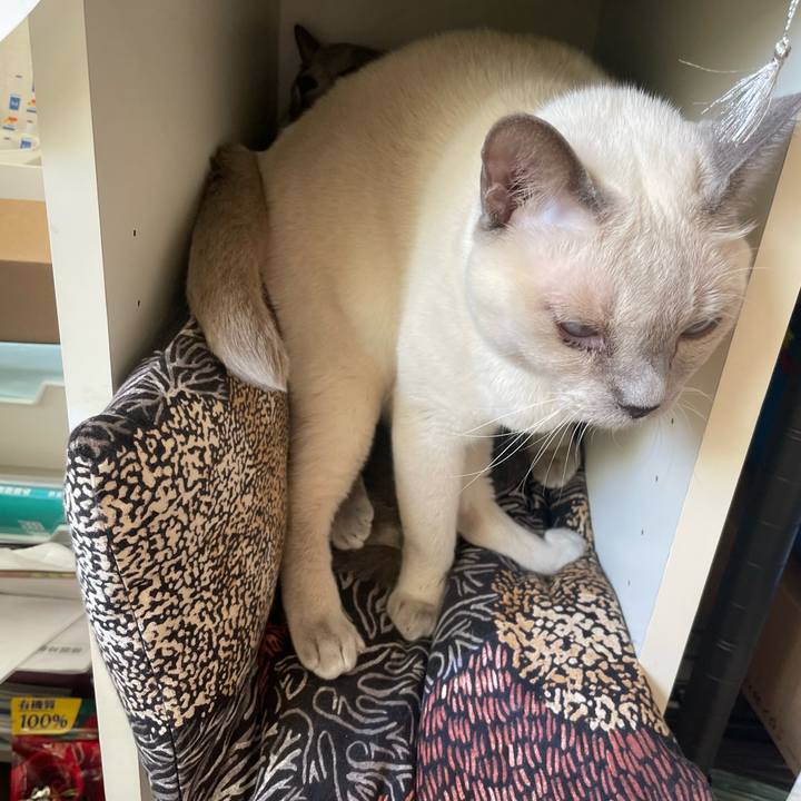 3f6d6518 233e 45f1 87b8 8323fa8ce33f 1737867126363