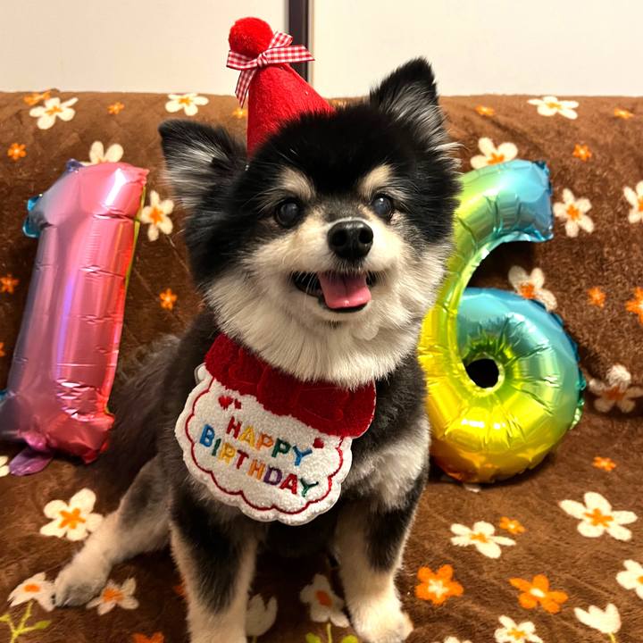 3f6dbe24 fe1a 4463 a043 259625c5c12d 1736670592158