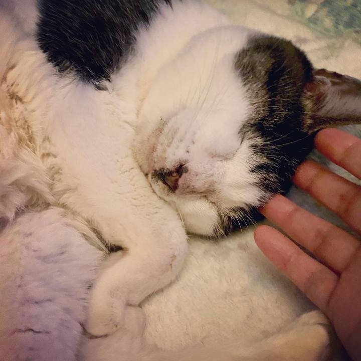 3f6dc158 067c 4537 bd2b 3cfedcbcc012 1612018081820