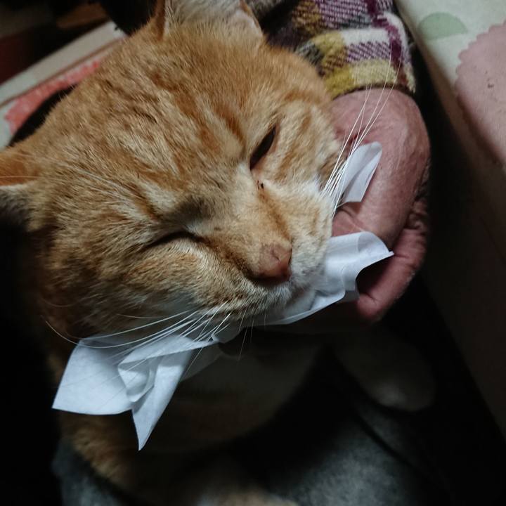 3f6de20b 9d28 48d8 9802 57aa3b0354ad 1577691912480