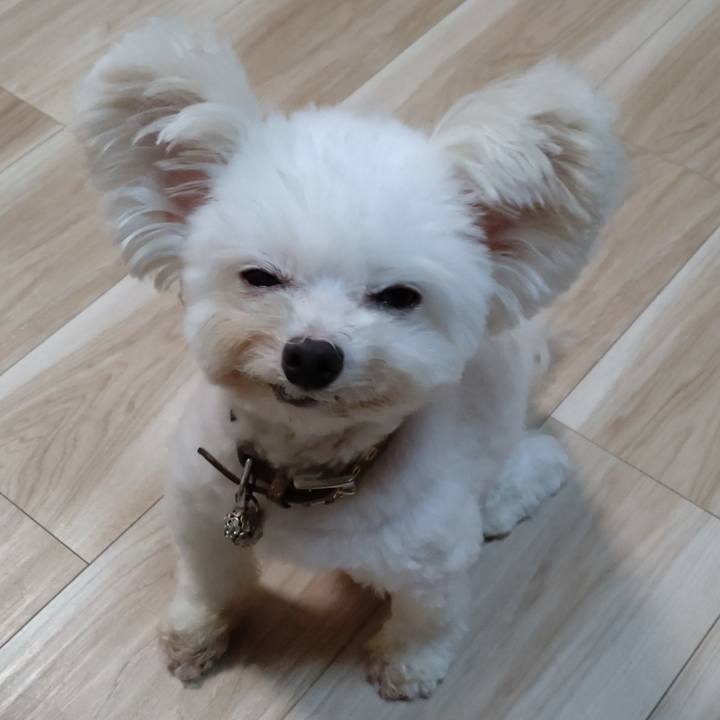 3f6de4bc 1da9 42e8 af36 6a5ada3de5d7 1632416836664