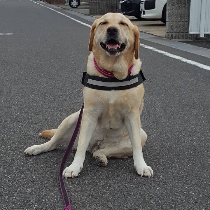 3f6de59d 91a9 4938 9c86 89d3e7181a6c 1563411687135