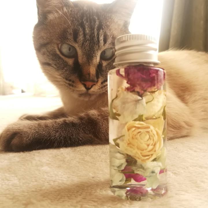 3f6de91a 1c32 4ebe b360 959ca2cf8a52 1527997445393