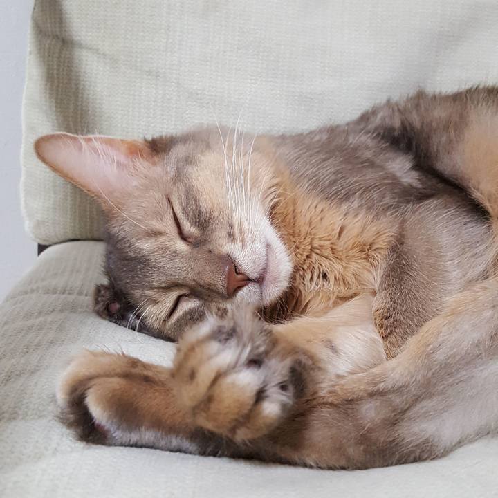 3f6df1ec 0764 4a6e a073 504e8bd5d849 1573293569471